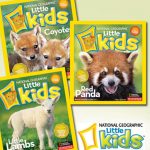 1 11 national geographic kids
