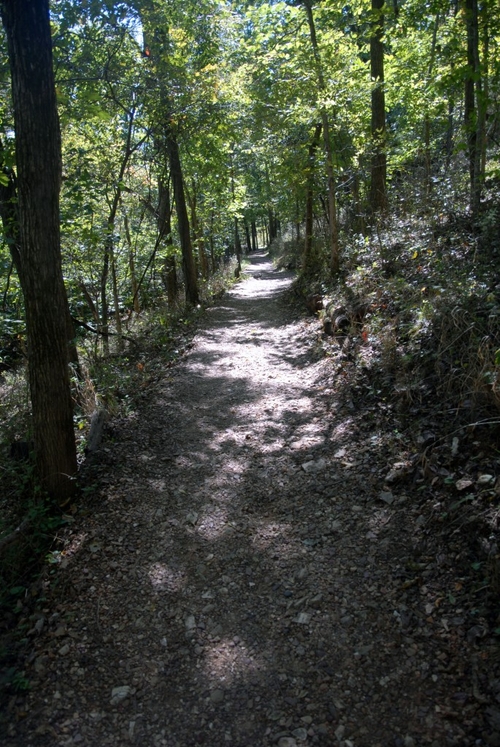 1 11 walk in the woods