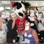 Chic Fil A 2012