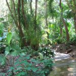 Garden Path