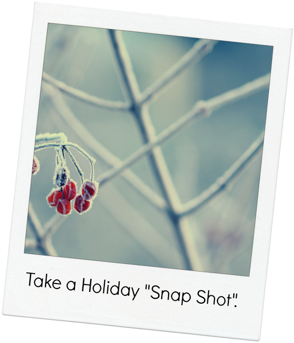 Take A Holiday Snap Shot