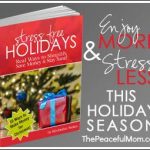 Stress Free Holidays Ad 300 px Final with border