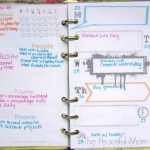 My Weekly Plan 6-23-2014 - The Peaceful Mom