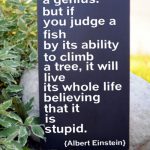 1 11 Einstein quote