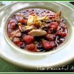 Chicken and Black Bean Chili Solo Framed TPM
