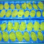 Green Sauce Cubes