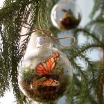 1 11 terrarium