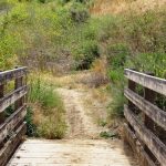 1 11 path in the woods