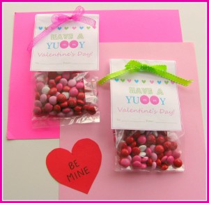 Valentine Treat Bags 1 berry b
