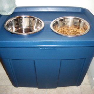 dog feeding station