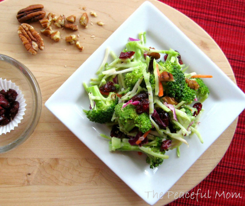 Broccoli Salad with Cranberries and Pecans