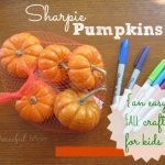 Sharpie Mini Pumpkins - easy Fall craft for kids - The Peaceful Mom