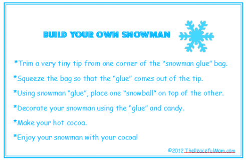 Last Minute Gift Idea: Build-Your-Own Snowman Kit - The 