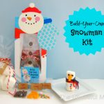 DIY "Snowman" Kit