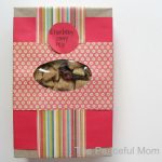 Upcycled Pasta Gift Box with Cranberry Party Mix--The Peaceful Mom