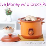 Save Money W/ Your Crockpot