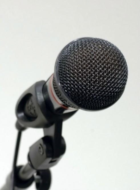 microphone (2)