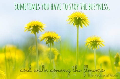 Sometimes you have to stop the busyness and walk among the flowers--The Peaceful Mom