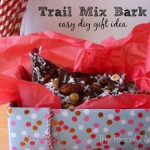 Trail Mix Bark - DIY Gift Idea from The Peaceful Mom
