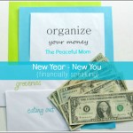 Organize Your Money - New Year New You (financially speaking) - The Peaceful Mom