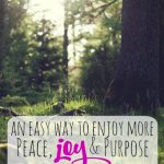 An easy way to enjoy more peace - joy- and purpose -- The Peaceful Mom