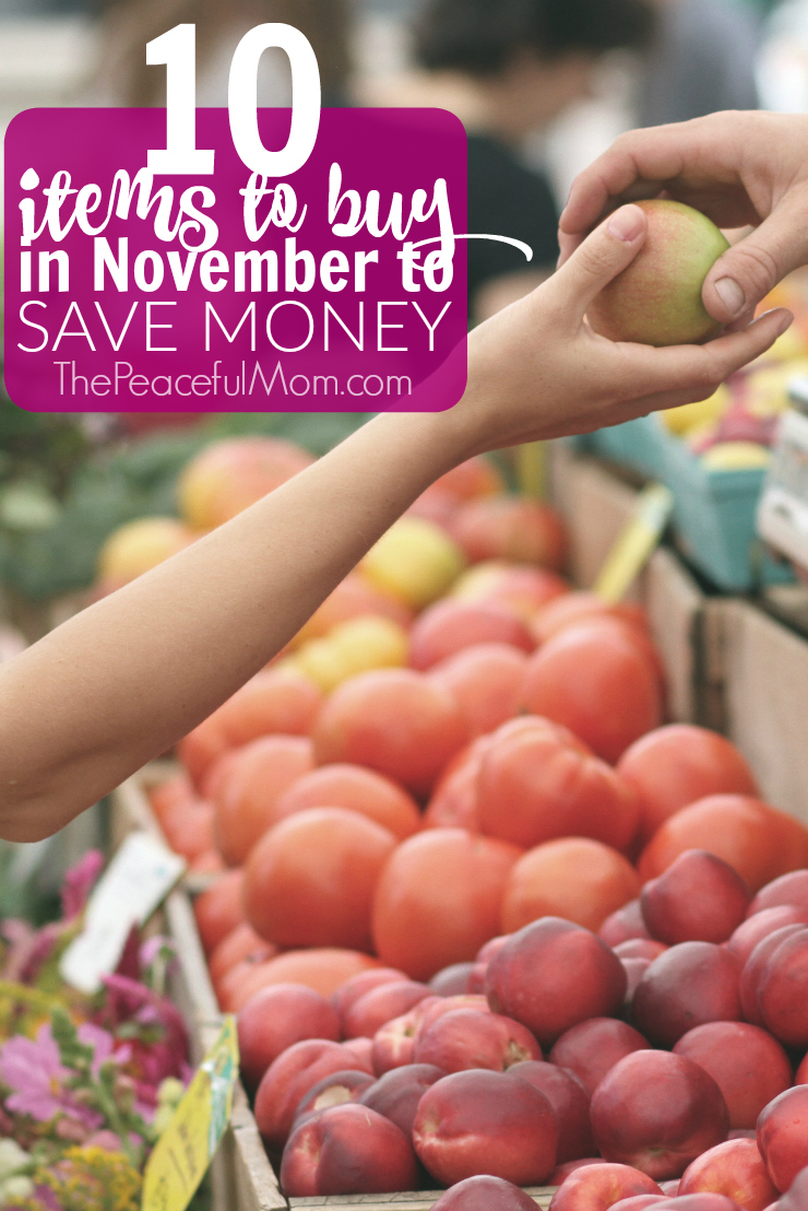 10-things-to-buy-in-november-to-save-money-the-peaceful-mom