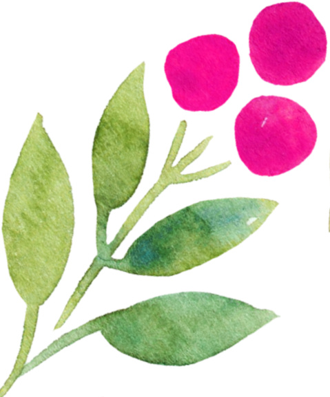 hot pink berries and leaves
